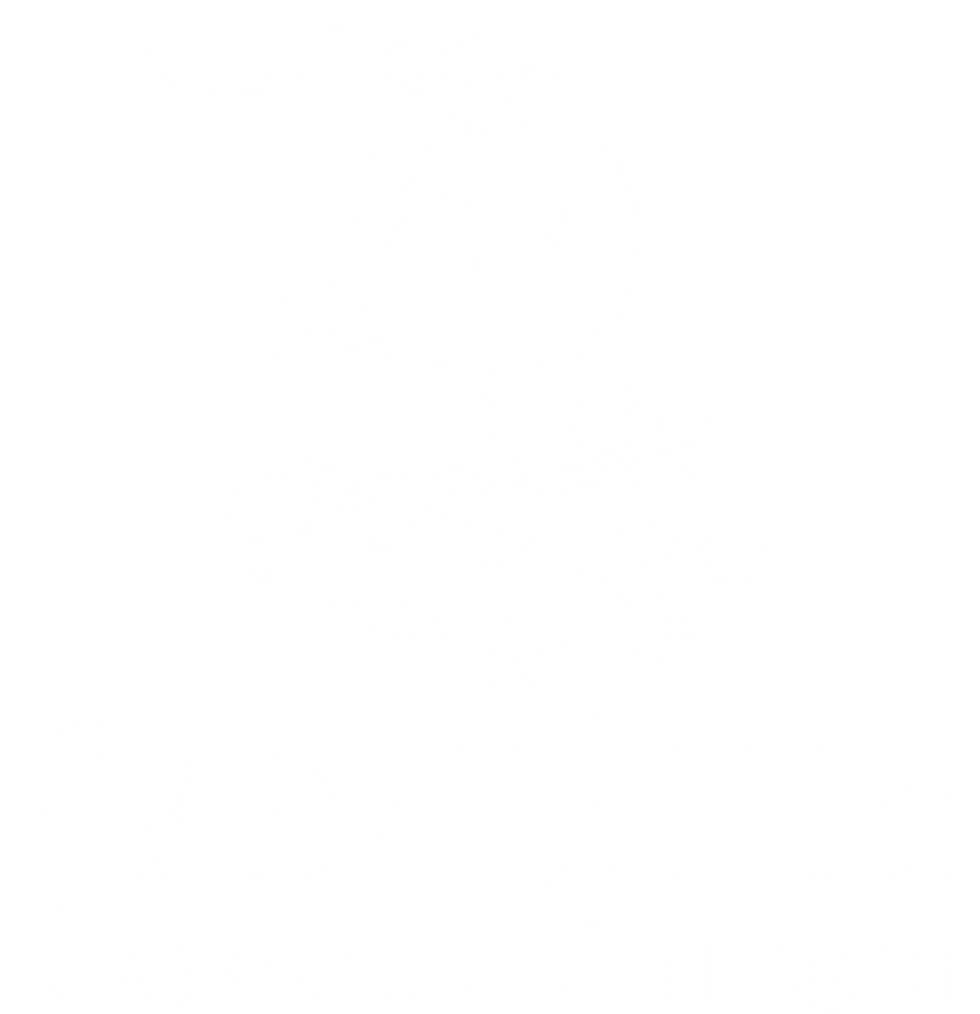 St.-Jude_Logo_White_V.png